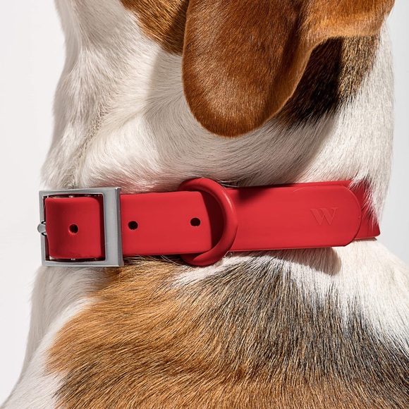 Wild One Collar Size XL - Red New w/Tag - Picture 2 of 9